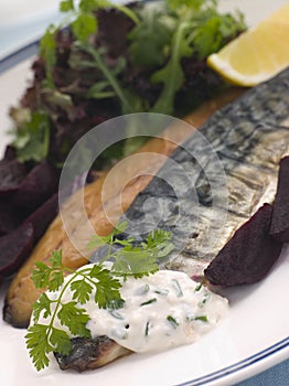Smoked Mackerel Beetroot Salad