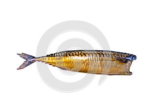 Smoked mackerel fish on a white plate