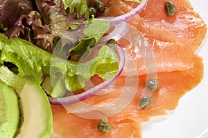 Smoked Salmon and Avocado Salad