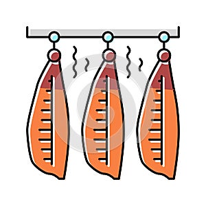 smoked salmon color icon vector illustration