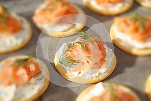 Smoked Salmon, cream cheese, and dill crackers
