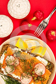 Smoked Salmon With Cream Cheese and Radishes Open Face Rye Bread