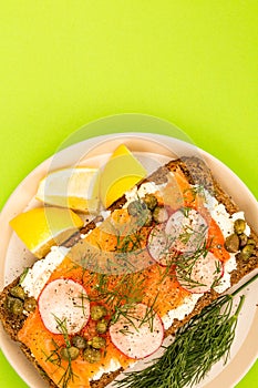 Smoked Salmon With Cream Cheese and Radishes Open Face Rye Bread