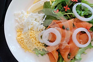 Smoked salmon with mixed salad served with scumble egg. Sliced onion and lemon. Healthy vegetable menu for vegetarian. Organic