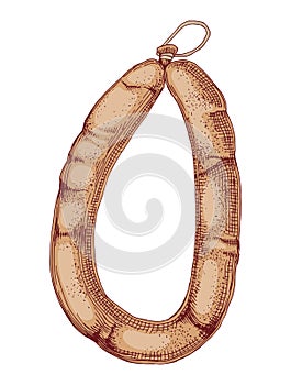 Smoked sausage ring hand drawn vector