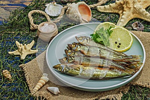 Smoked smelt with fresh lemon and herbs. Salted fish with marine decor. Trendy dish, sea rope