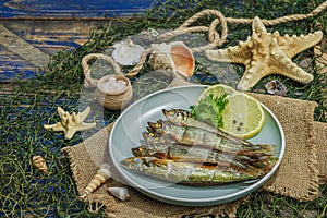 Smoked smelt with fresh lemon and herbs. Salted fish with marine decor. Trendy dish, sea rope