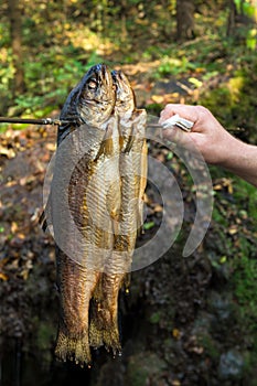 Smoked trouts