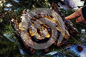 Smoked trouts on pine branch