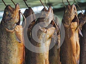 Smoked trouts
