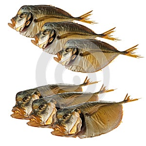Smoked vomer fish, collage on white background isolated