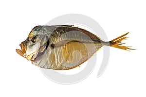 Smoked Vomer fish, on a white background, isolated