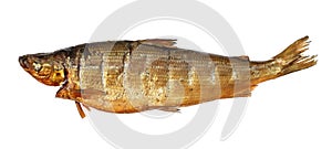 Smoked whitefish photo