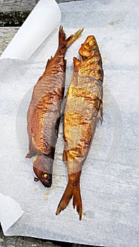 Smoked whitefish served outdoors on a greaseproof paper photo