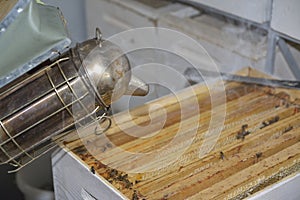 Smoker beekeepers tool used to keep bees away from hive.