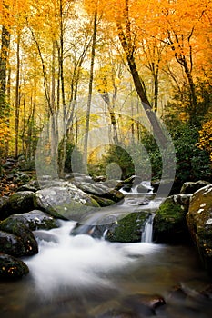Smokey Mountains National in the fall photo