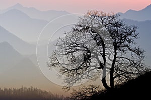 Smokey Mountain Sunset photo