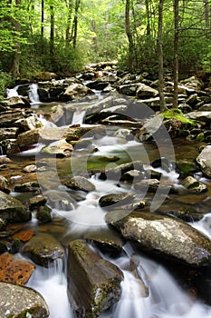 Smokey Mountains Creek