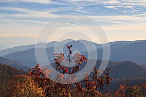 Smokey mountains, newfound gap, webb overlook.