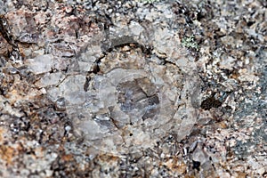 Smokey Quartz in Granite