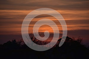 Smokey Shrub-Steppe Sunset, Summer Wildfire Season, Richland, WA photo