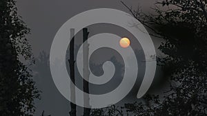 Smokey Sunset with silhouetted trees