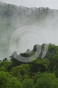 Smokie Mountains