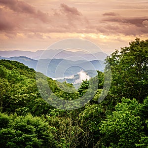 Smokies overlook