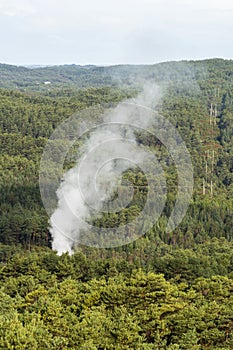 Smoking chimney in green forest