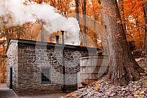 Smoking Chimney house in forest. Landscape with Little house in Autumn forest.