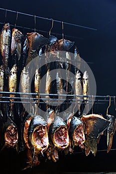 Smoking-fish