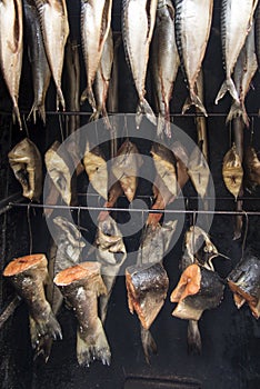 Smoking fish on hooks