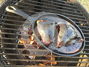 Smoking and grilling of two chicken legs on an iron pan