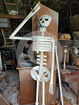 Smoking hot skeleton for sale