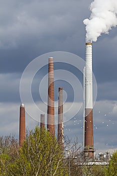 Smoking industrial chimneys