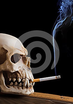 Smoking skull