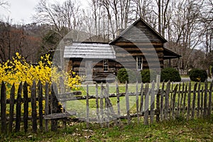 Smoky Mountain Cabin In the Springtime