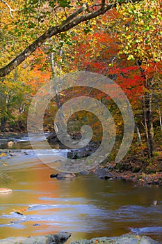 Smoky Mountain creek on an autumn day