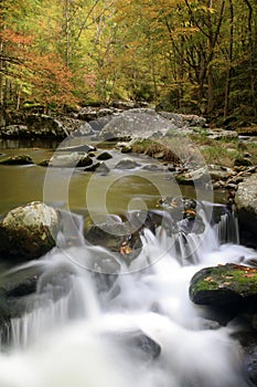 Smoky Mountain Fall Stream