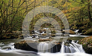 Smoky Mountain Fall Stream