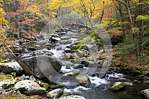 Smoky Mountain Fall Stream