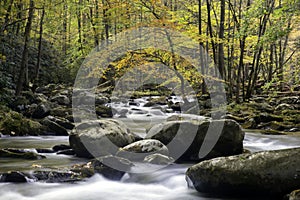 Smoky Mountain Fall Stream