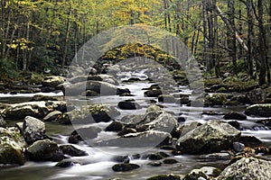 Smoky Mountain Fall Stream