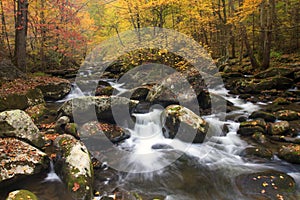 Smoky Mountain Fall Stream