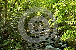 Smoky Mountain flowing stream