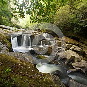 Smoky Mountain Forest and Waterfall