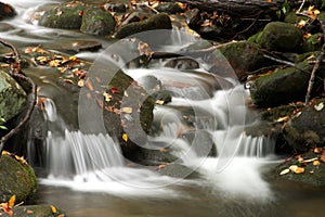 Smoky Mountain Stream