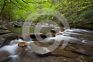 Smoky Mountains