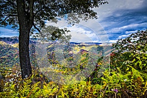 Smoky Mountains