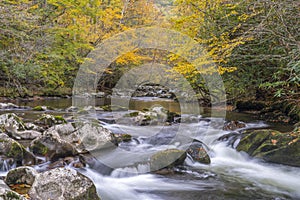 Smoky Mountains Autumn Stream and Waterfalls